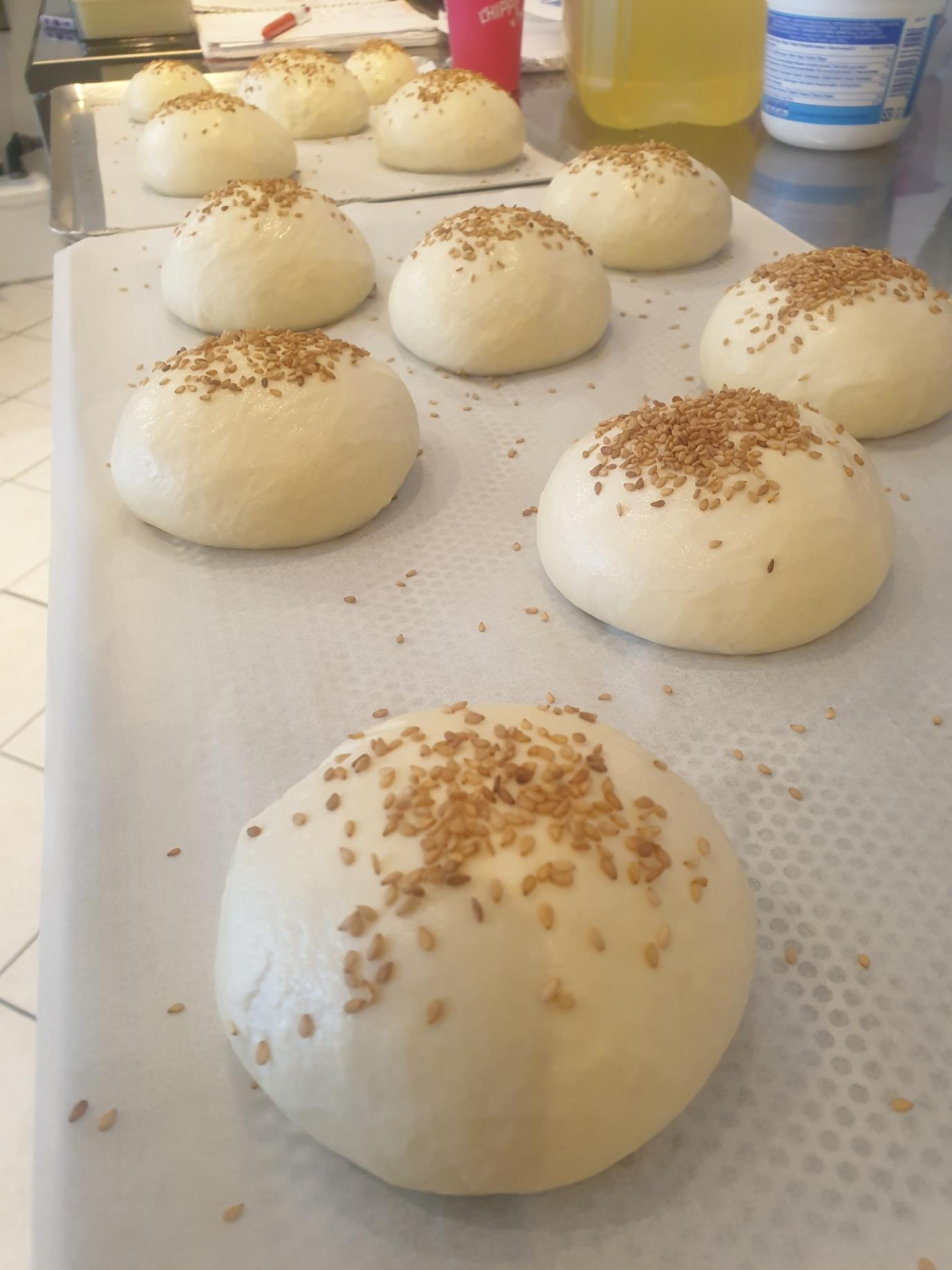 Dégustation burgers Granville