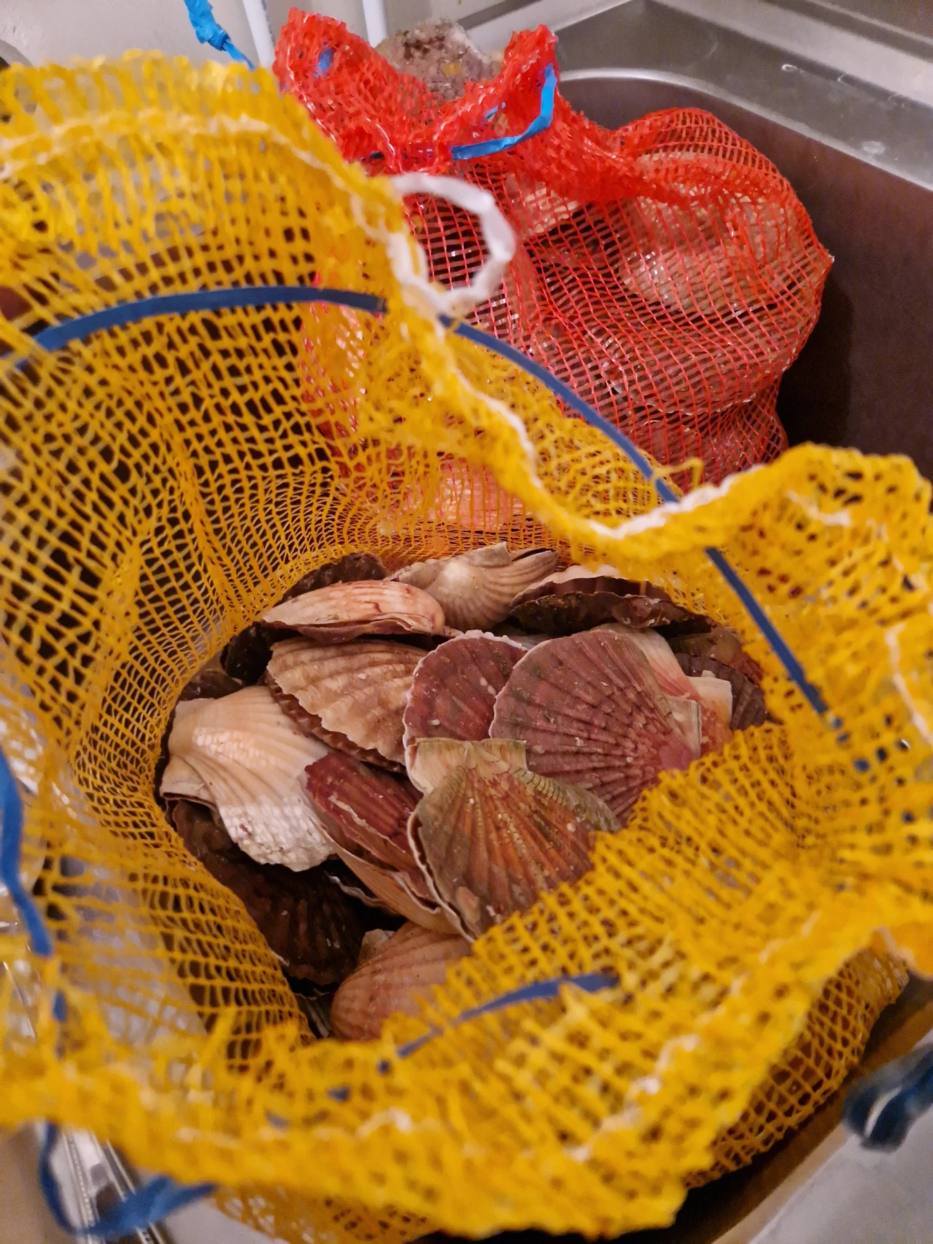 saint jacques granville (50)