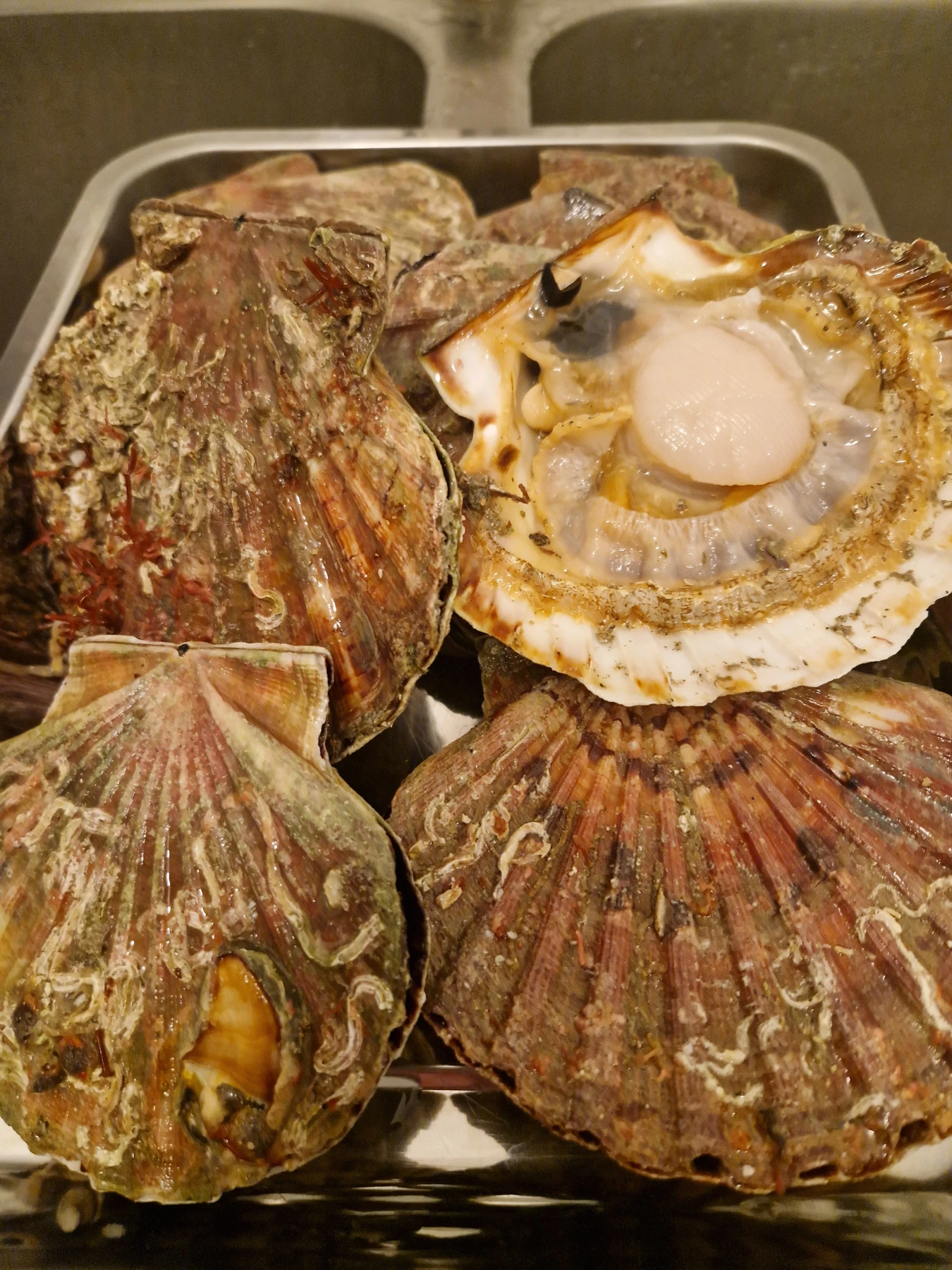 saint jacques granville (50)